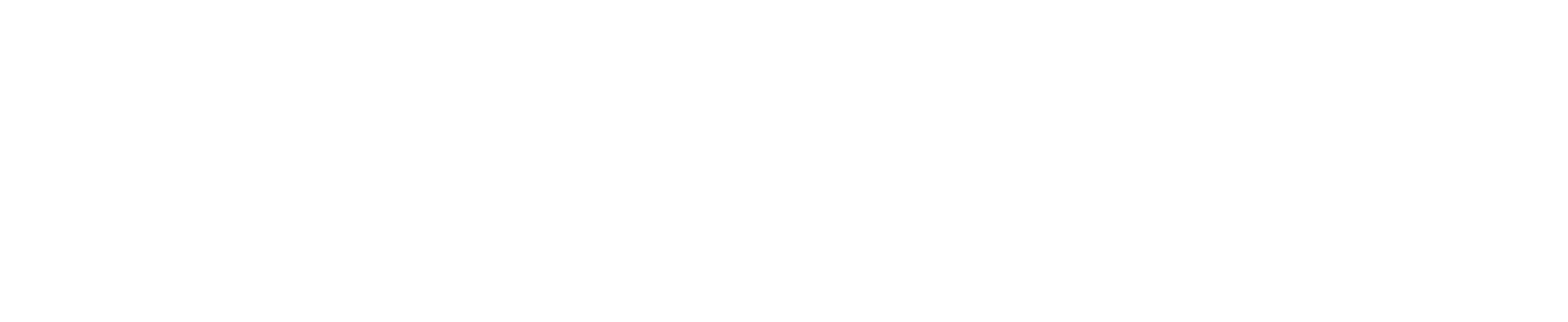logo of the project